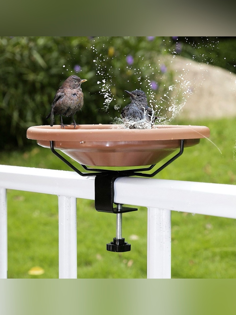 Heated Bird Bath for Winter